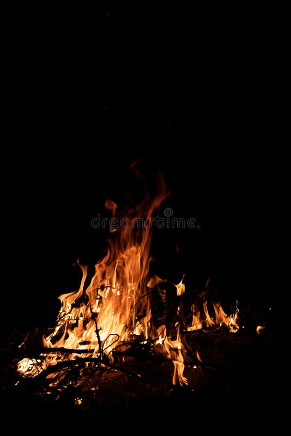 A Fire is Burning at Night. Fine Branches on Fire Stock Image Image