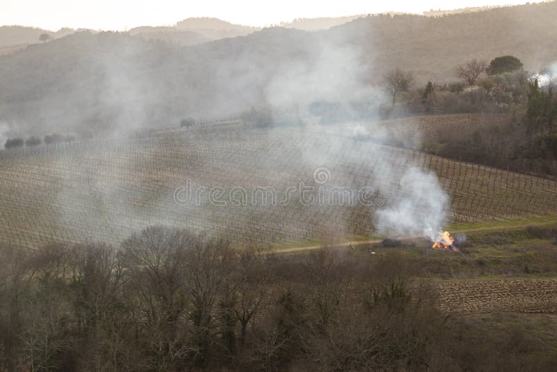 Fire burning on a rural vineyard landscape. In Tuscany, Italy stock images