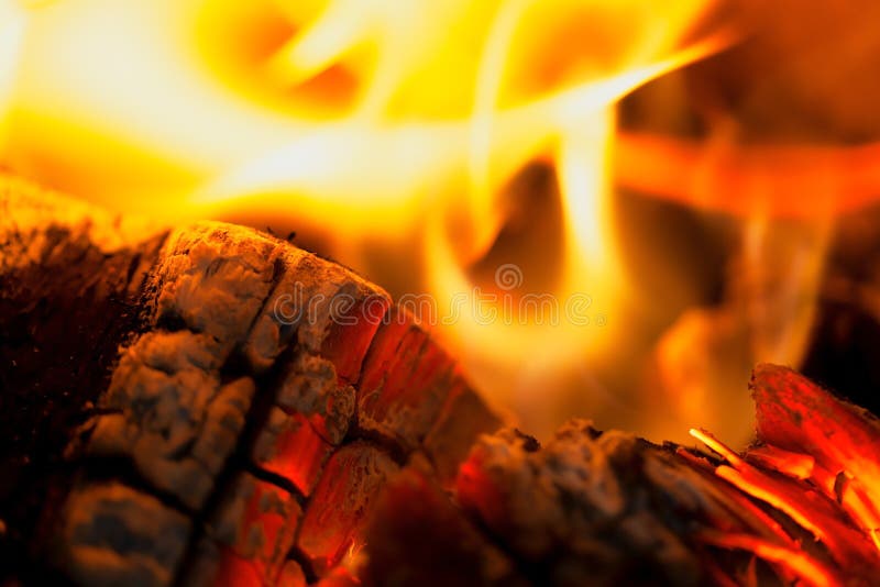 The fire with burning wood embers