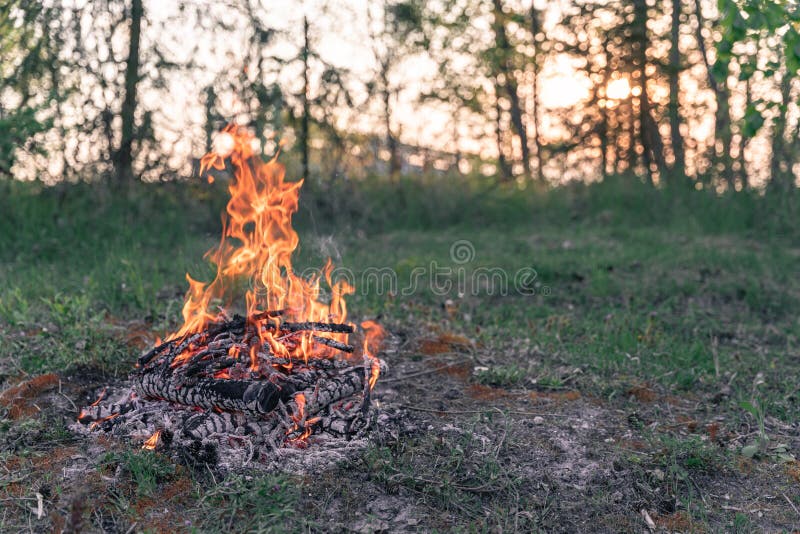 3,599 Camp Fire Woods Stock Photos Free & RoyaltyFree Stock Photos