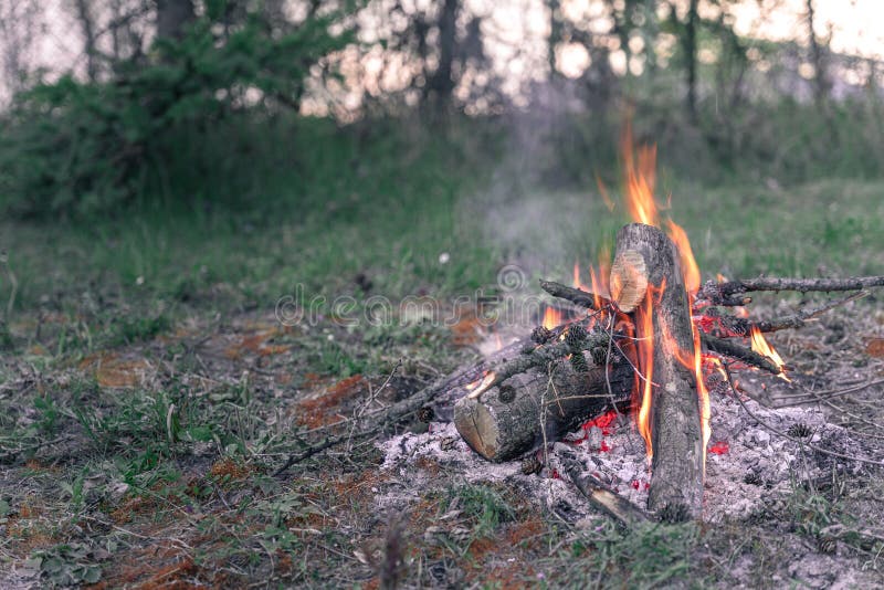Fire Burning in the Woods at Sunset Stock Photo Image of camp, grill