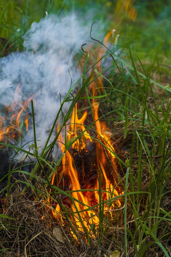 Fire royalty free stock photography