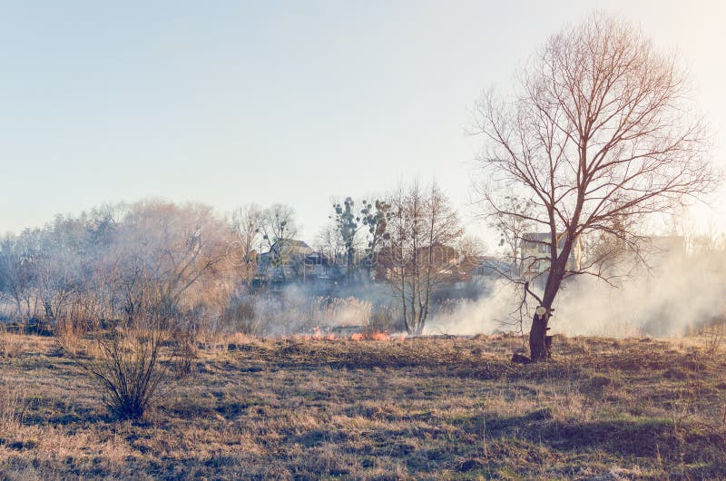 The fire of dry grass in the field stock images