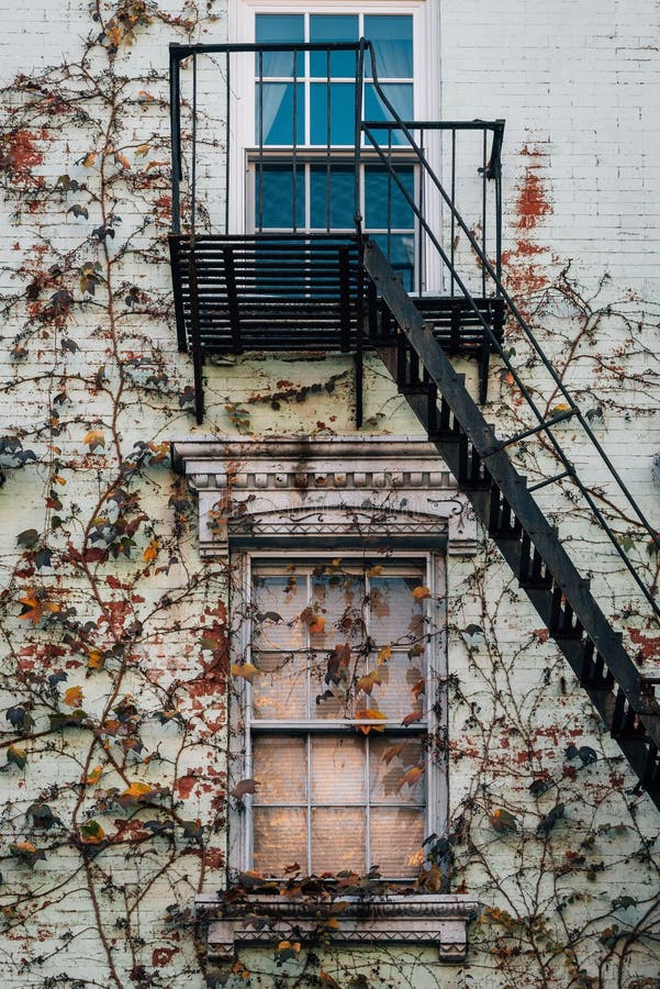 Fire escape with vines on a building in the East Village, Manhattan, New York City royalty free stock images Fire escape with vines on a building in the East Village, Manhattan, New York City royalty free stock images