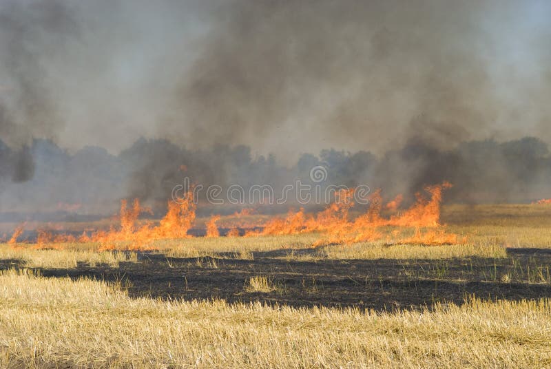 Fire on the Field. Disaster. Stock Image Image of countryside