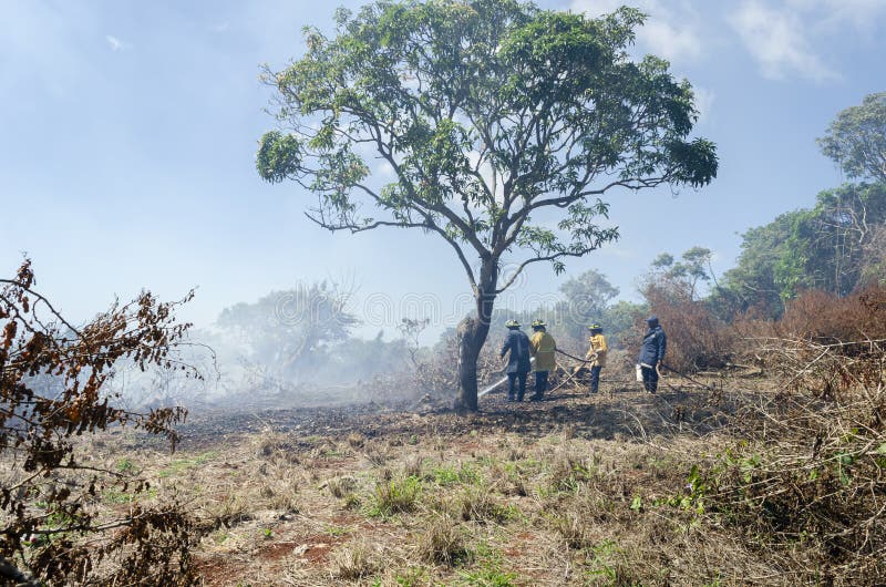 Fire Fighters on Burning Landscape Editorial Photo - Image of flooding ...