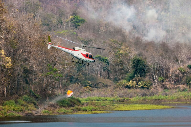 Fire Fighting Helicopter is Carry Water for Extinguish Forest Fire