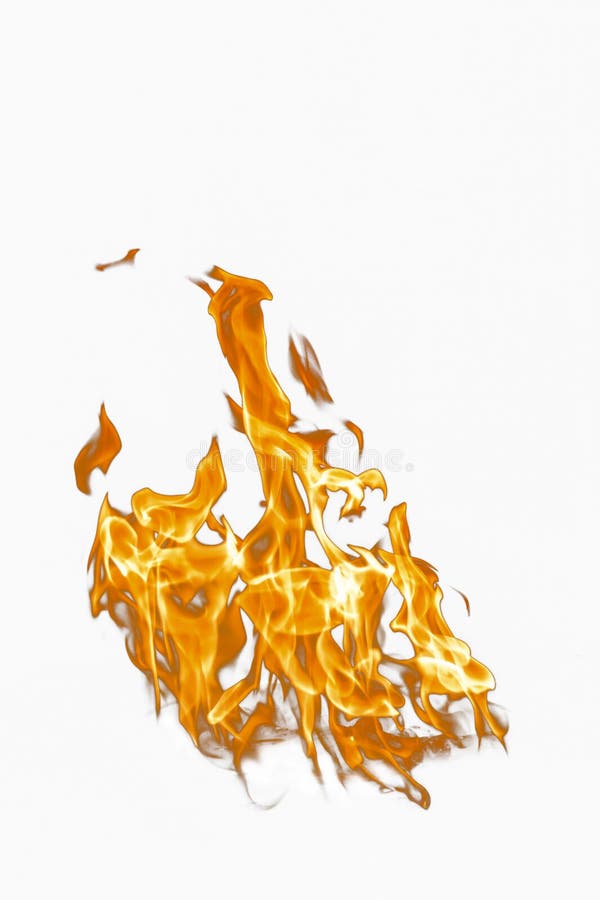 Fire Flame on a White Background. Burning Passion, Phenomenon of ...