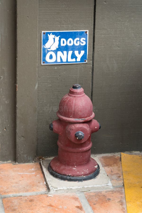 Fire hydrant for dogs only