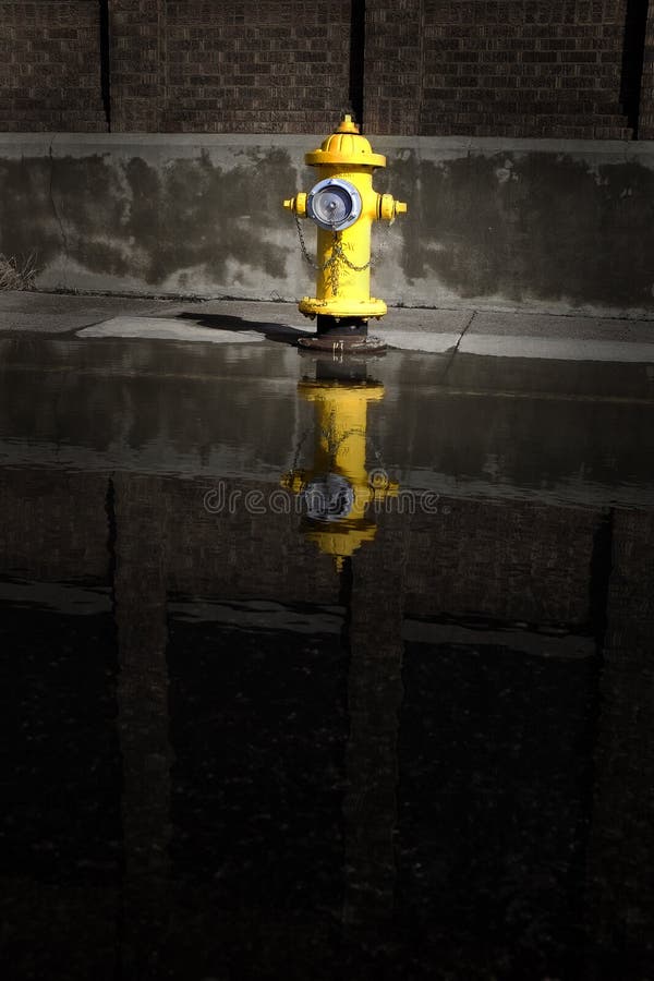 Fire Hydrant with Water Puddle Reflection and Building Urban Setting