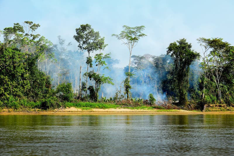 En la jungla sobre el un rio.