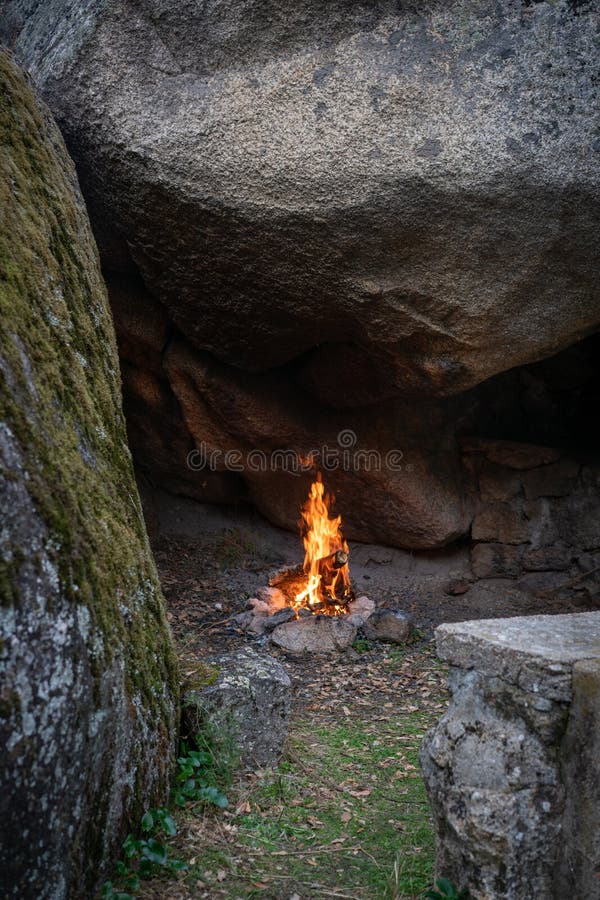 209 Bonfire Moss Stock Photos Free & RoyaltyFree Stock Photos from Dreamstime