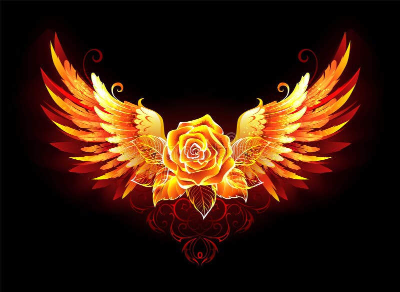 Fire Rose With Wings On Black Background Stock Vector - Illustration Of  Design, Contour: 146162027