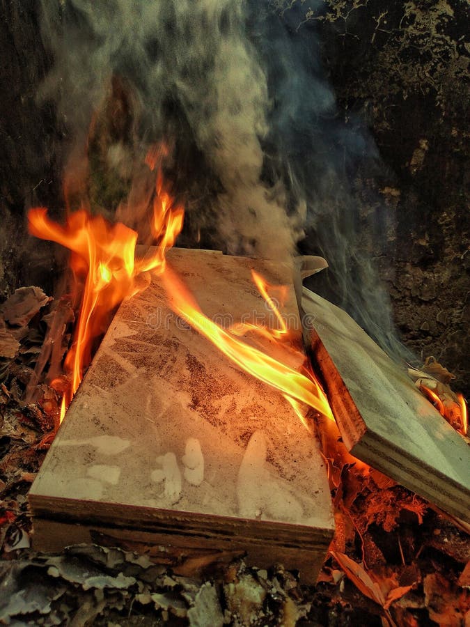 Fire and Smoke Coming Out of the Burning Wood Stock Photo Image of