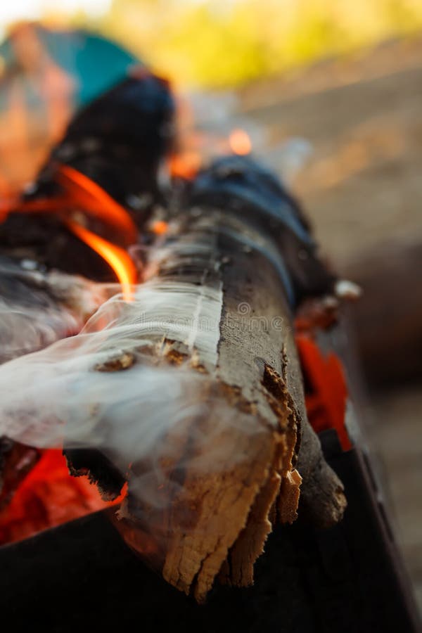Smoke and fire in the wood stock image. Image of disaster 6342167