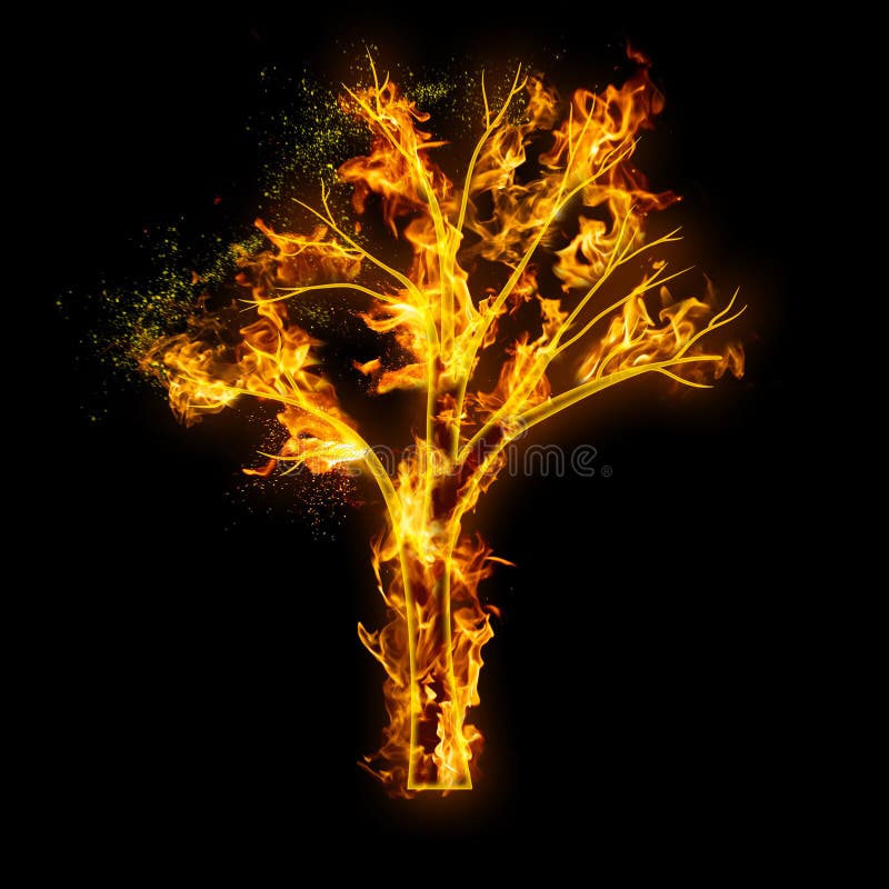 Fire Tree Stock Illustrations 23,548 Fire Tree Stock Illustrations