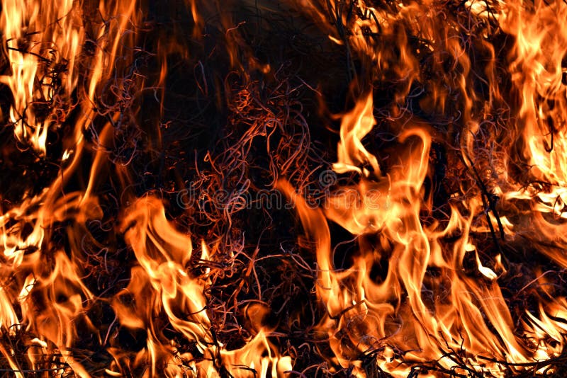 Fire Wallpaper stock image. Image of blasting, campfire - 128916591