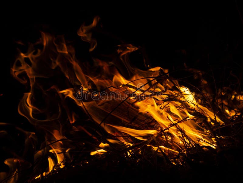Fire. Wildfire, Burning Pine Forest In The Smoke And Flames Stock Photo