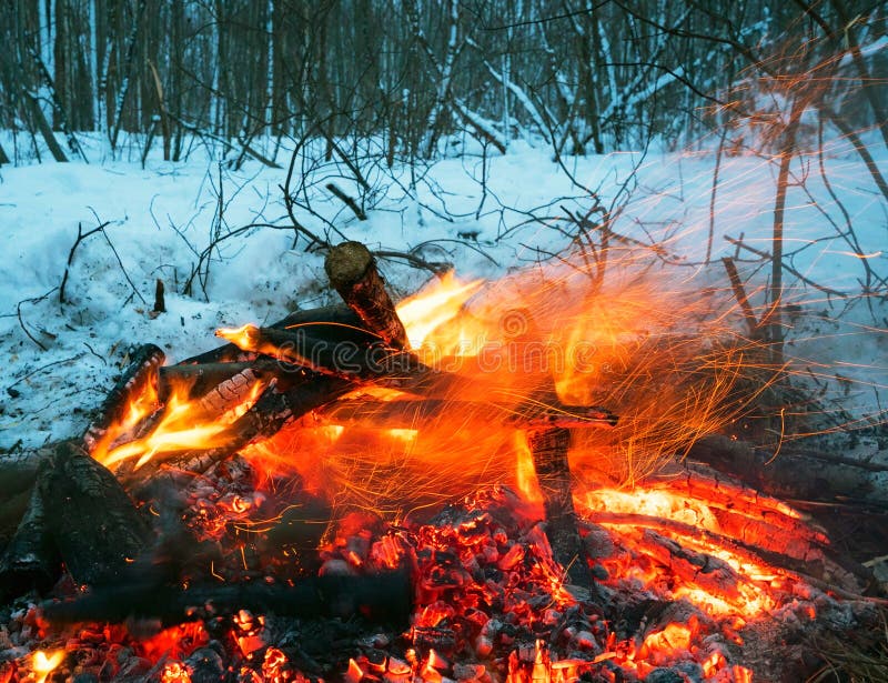 The Fire in the Winter Woods .Bright Flame of Fire. Stock Photo Image of closeup, heat 107329838