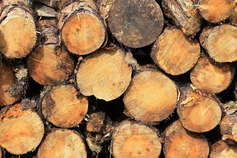 Combustible Wood Pellets stock photo. Image of fuel, source 6256906