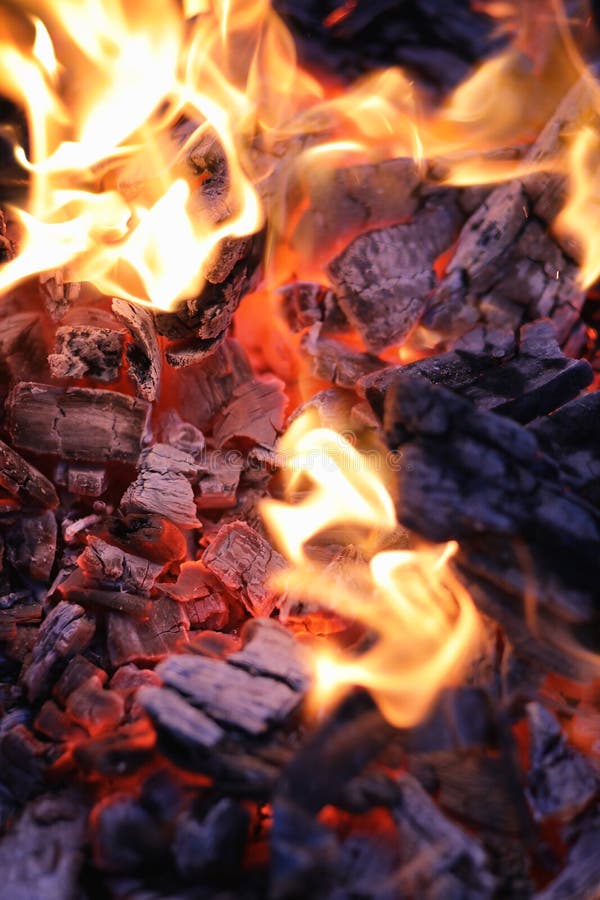 Fire Wood Coal Amber Ash Closeup Stock Photo Image of amber, bonfire