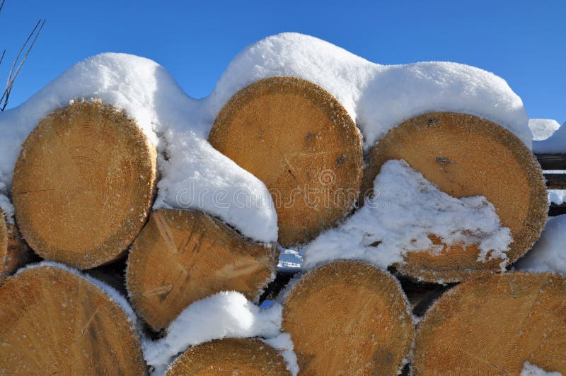 Fire wood under snow