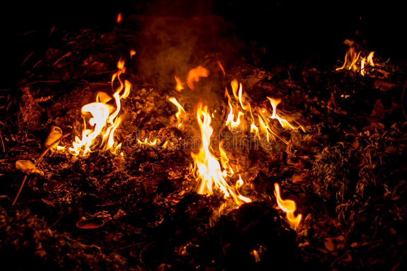 Fire in Woods at Night. Fire Burns Everything Around_ Stock Image Image of fiery, explosion