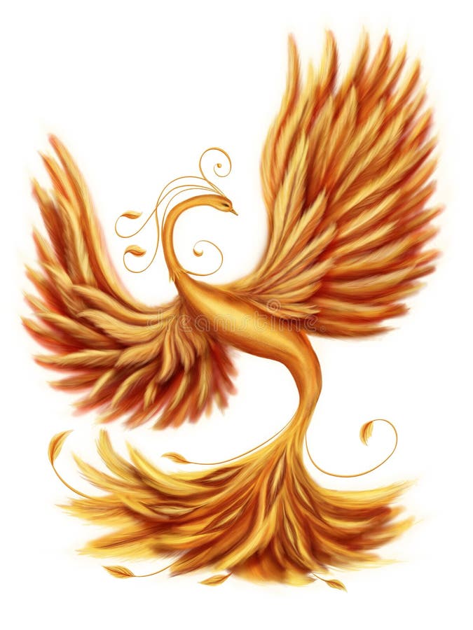 Magic firebird on a white background. Magic firebird on a white background