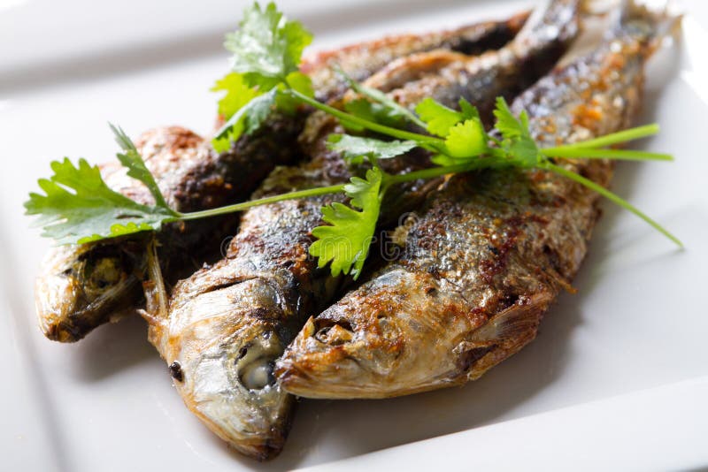 Fried sardine fish on plate with coriander. Crispy diet stock images, royalty-free photos and pictures