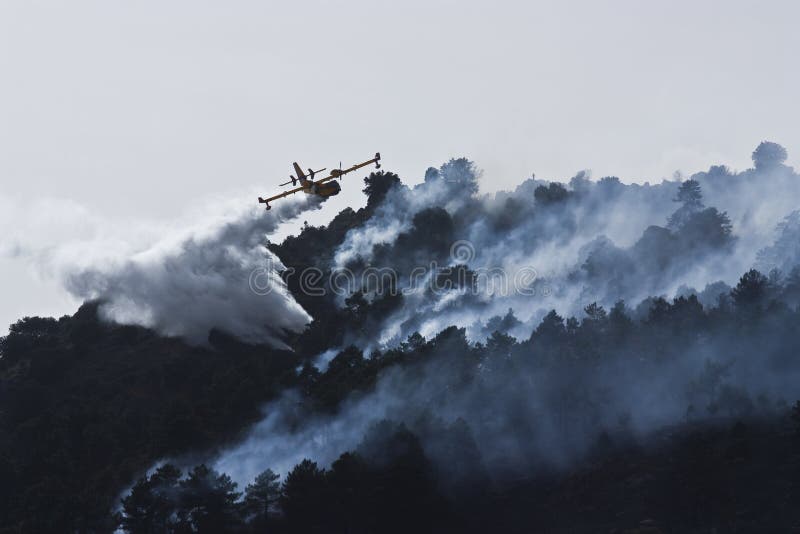 Firefighter Aircraft in Spain Forest Fire Editorial Stock Image Image