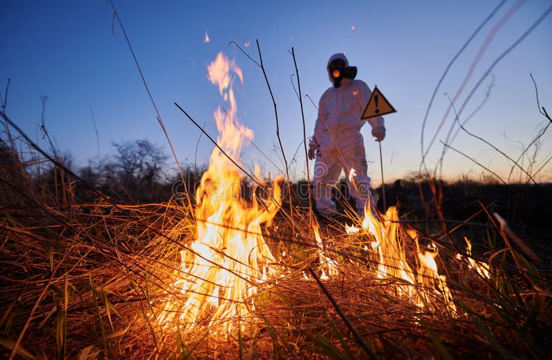 Firefighter Ecologist Working in Field with Wildfire. Stock Image