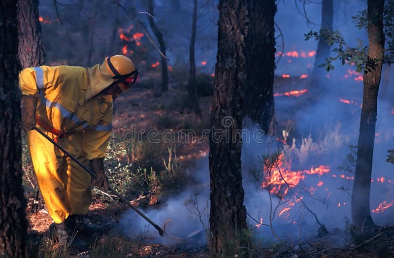 Firefighter Tryng To Stop a Fire Stock Photo Image of alertness, hell