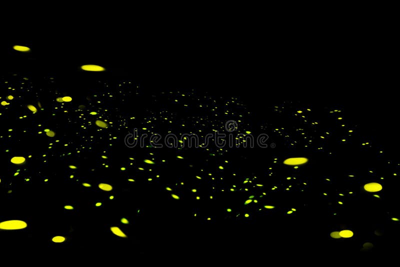 Firefly, lightning bugs on black background. Firefly, lightning bugs isolated on black background. Lights in the night royalty free stock photo Firefly, lightning bugs on black background. Firefly, lightning bugs isolated on black background. Lights in the night royalty free stock photo