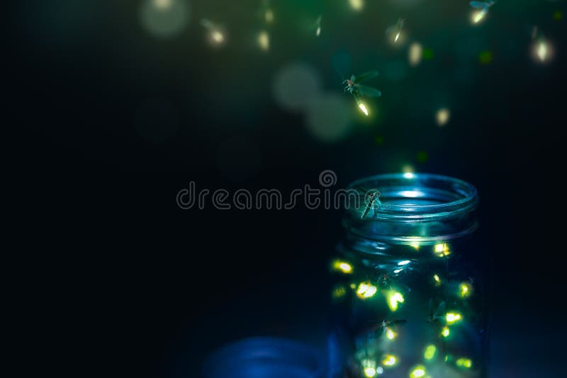 Glowing firefly on a grass filed at night. Glowing firefly on a grass filed at night