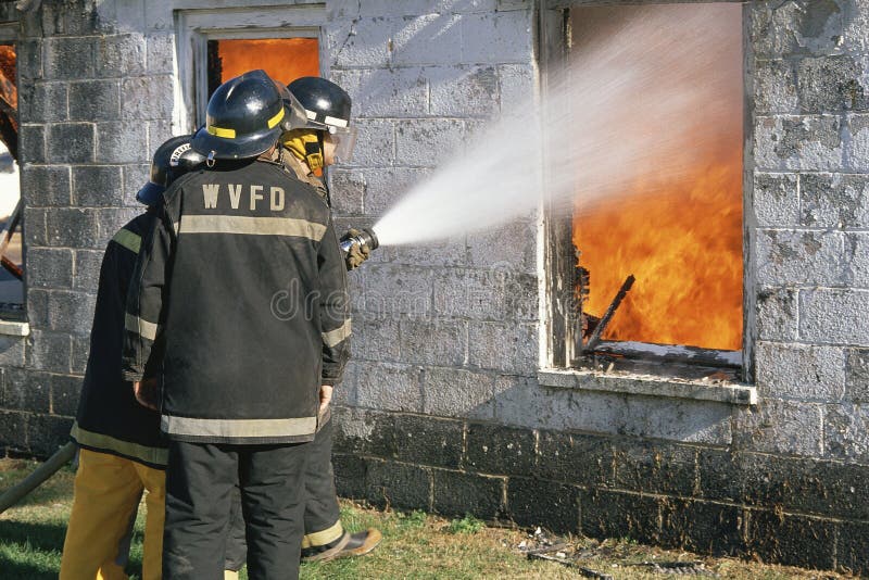 Hosing Down the Dog stock image. Image of enjoying, heat ...