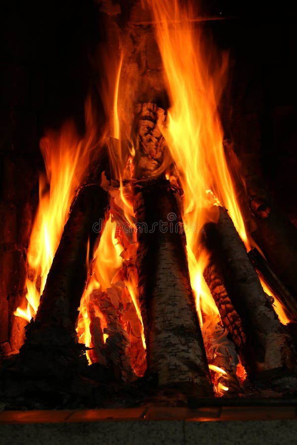In the Fireplace Burning Birch Firewood Stock Image - Image of silence