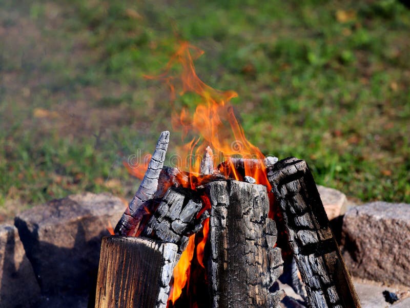 Long burning wood logs