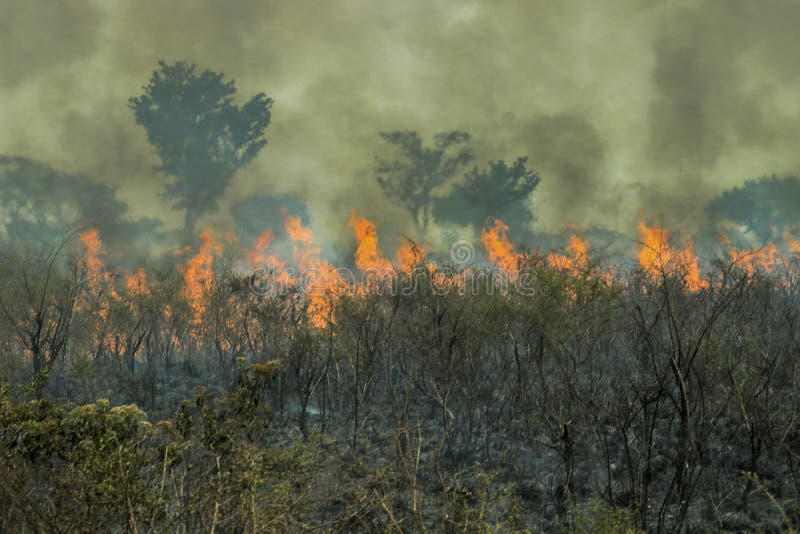 Fires in the Amazon forest - global climate change.