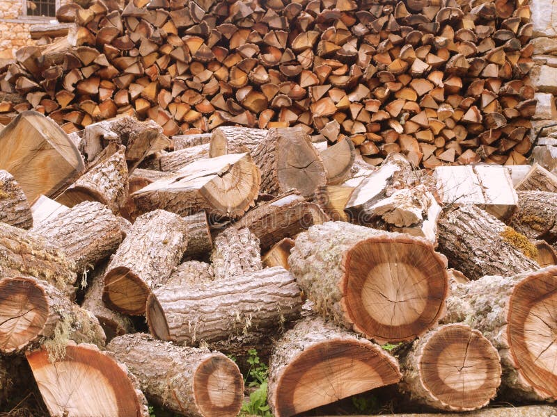 Stacked wood logs. Stock Photo by ©Tadeas 248196642