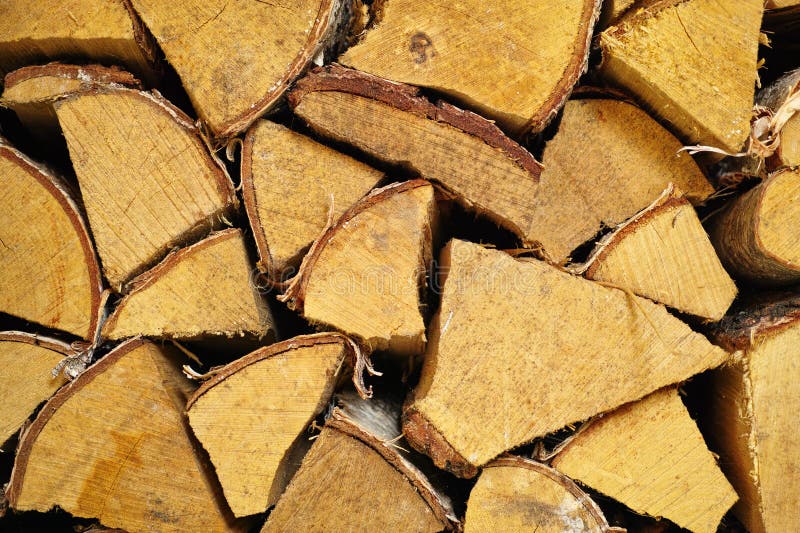Firewood, Background and Nature Pattern or Environment with Tree Stump Grain, Texture or Timber