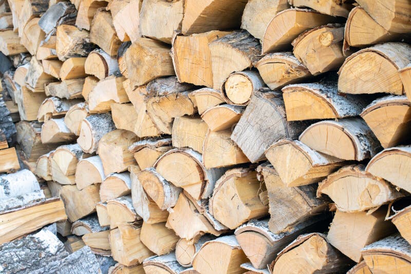 Firewood, Birch Logs. Stack of Dry Wood Logs Stock Photo Image of