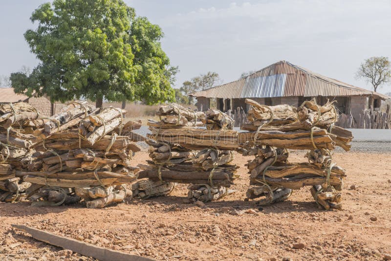 Africa Burkina Fasoview Of Overloaded African Vehicle Carrying Firewood  Logs High-Res Stock Photo - Getty Images