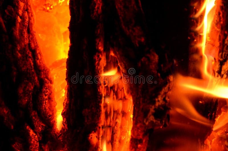 Firewood Burns with a Bright Flame As a Background. Stock Image Image of orange, yellow 215882251