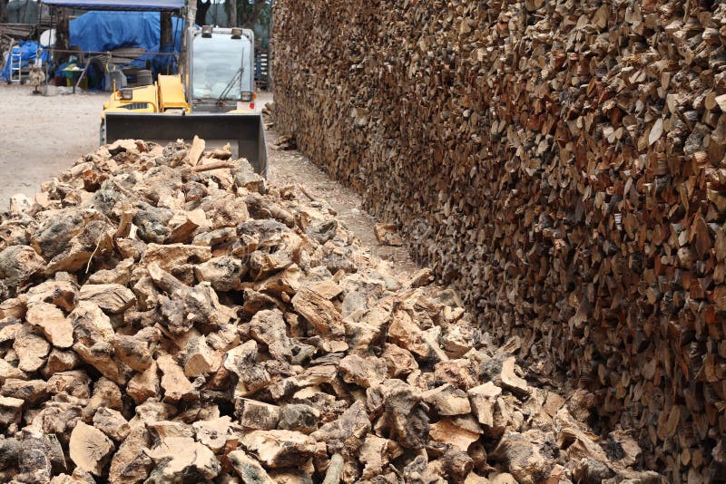 Firewood business stock photo. Image of pieces, energy 10055300