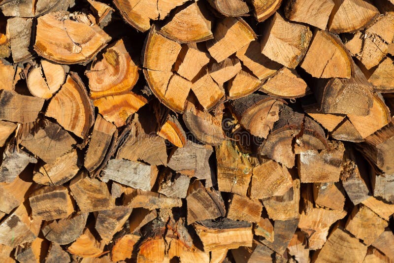 Firewood for home heating and cooking on an open fire