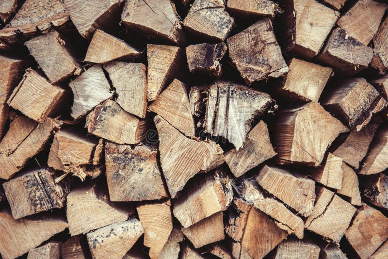 Firewood Oak Tree and Ash Tree Stock Image Image of background