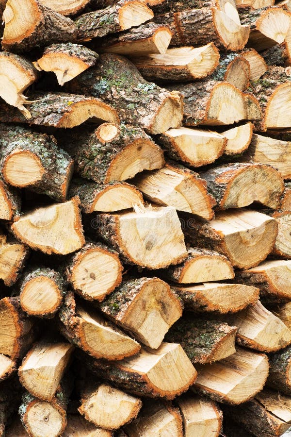 Firewood