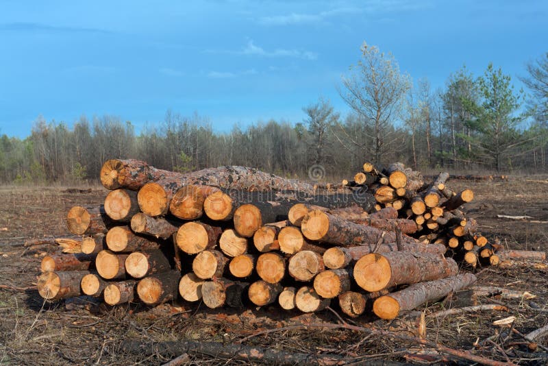 Firewood store stock photo. Image of flame, stack, industry 27444382