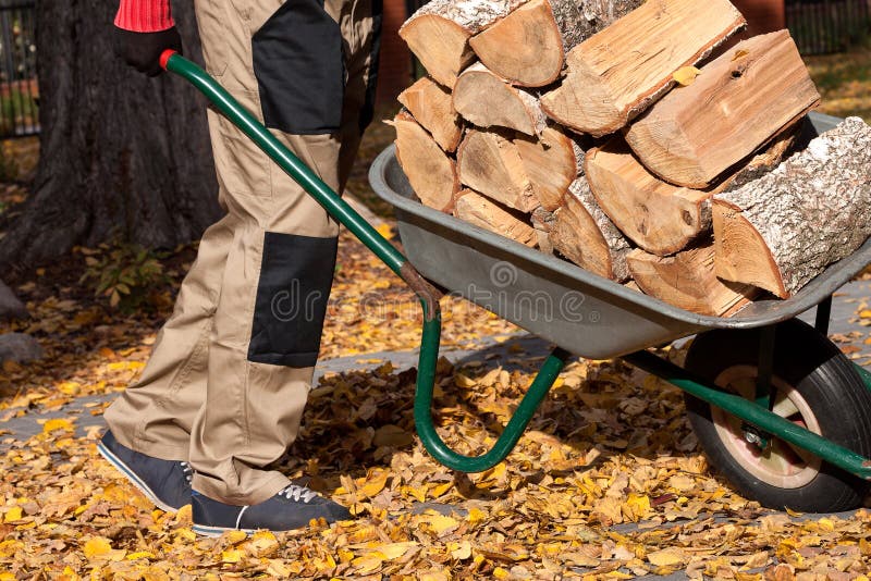 Firewood on the Wheelbarrow Stock Image - Image of household, nature