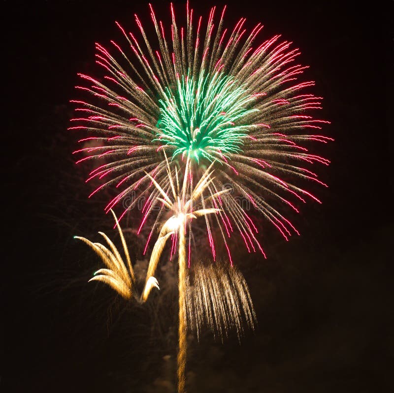 Fireworks as palm at night
